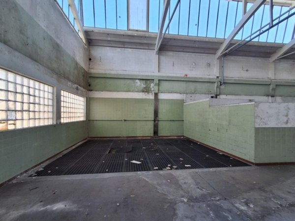 terreno edificabile in vendita a Tavagnacco in zona Feletto Umberto