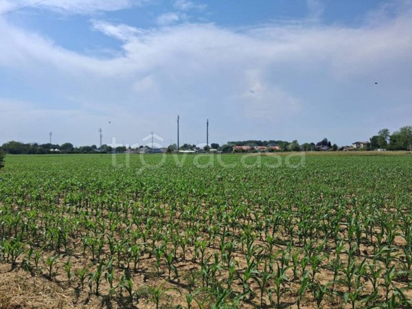 terreno edificabile in vendita a Terzo d'Aquileia