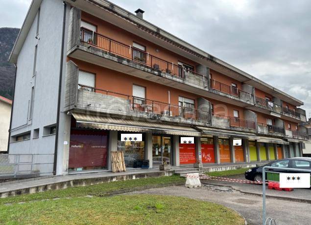 negozio in vendita a Tolmezzo