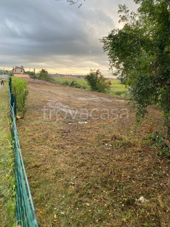 terreno agricolo in vendita a Torviscosa