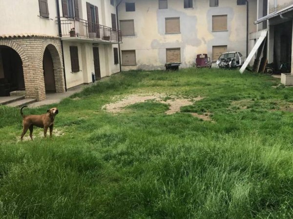 casa indipendente in vendita a Treppo Grande