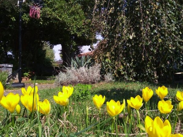 casa indipendente in vendita a Tricesimo in zona Morena
