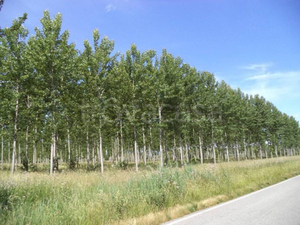 terreno in vendita a Tricesimo in zona Leonacco
