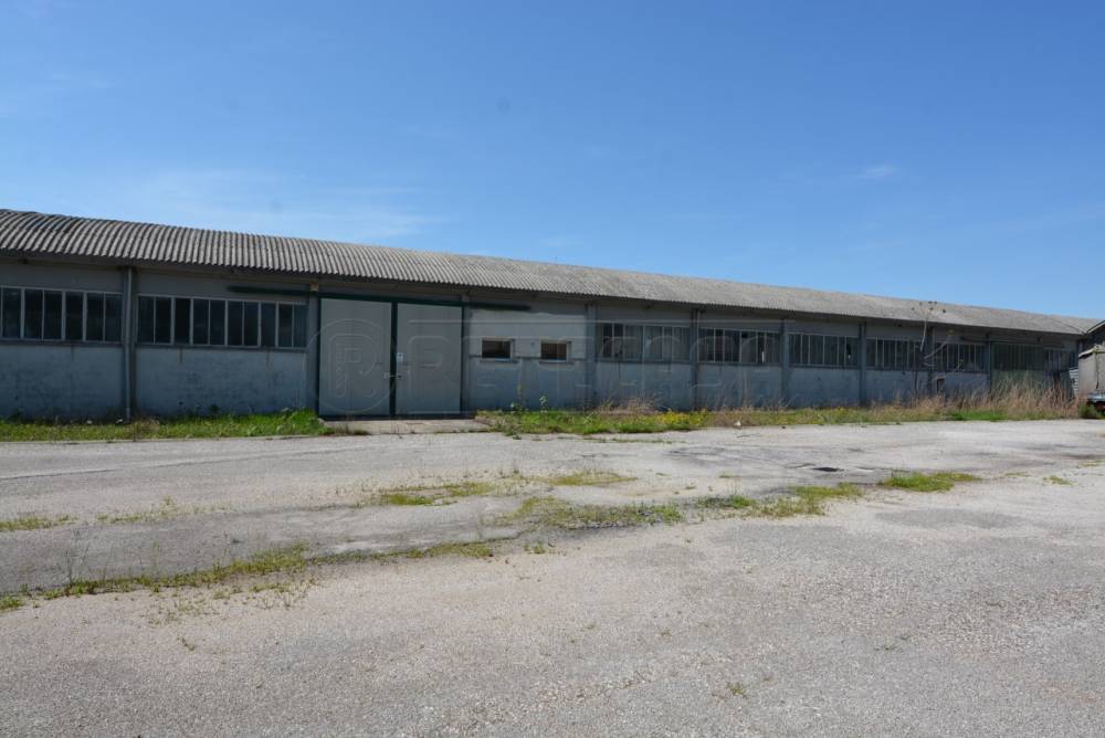 terreno edificabile in vendita a Trivignano Udinese