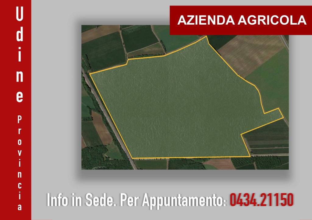 azienda agricola in vendita ad Udine in zona Centro Storico