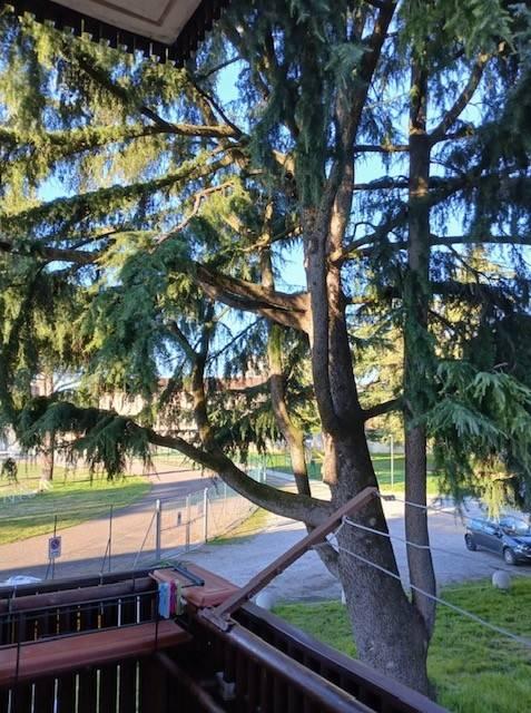 appartamento in vendita ad Udine in zona Cussignacco