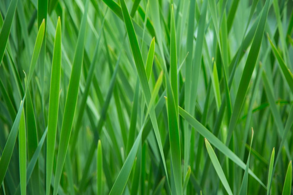 casa indipendente in vendita ad Udine in zona Cussignacco
