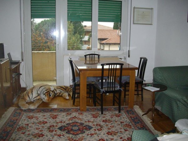 appartamento in vendita ad Udine in zona San Rocco