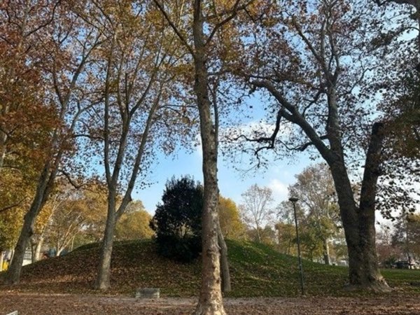 casa indipendente in vendita ad Udine in zona Centro Storico