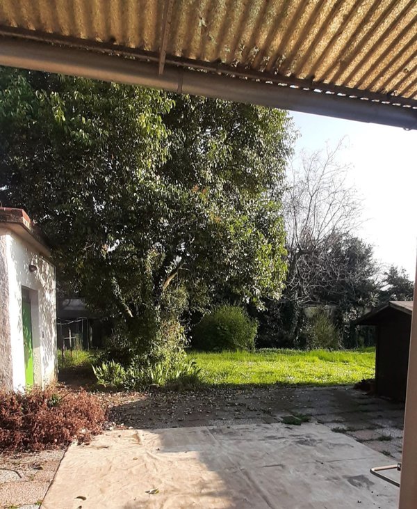 pentavano in vendita ad Udine