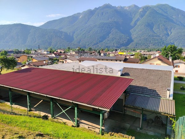 casa indipendente in vendita a Villa Santina