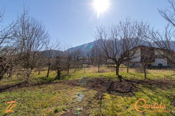 terreno edificabile in vendita a Villa Santina