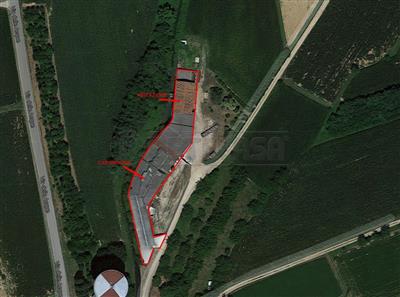 azienda agricola in vendita a Visco