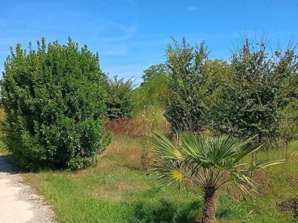 villetta a schiera in vendita a Visco