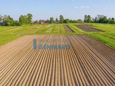 terreno agricolo in vendita a Visco