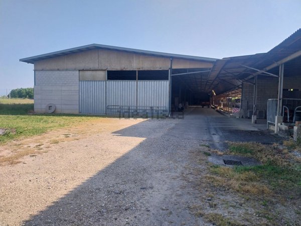 terreno agricolo in vendita a Visco