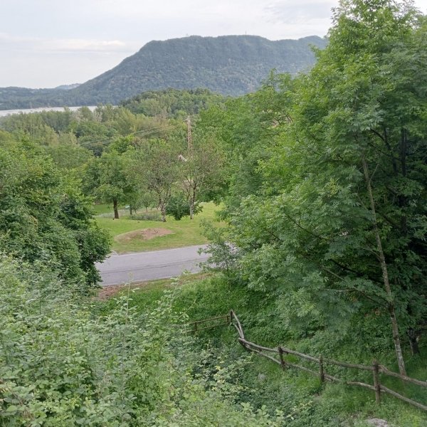 casa indipendente in vendita a Forgaria nel Friuli in zona Cornino