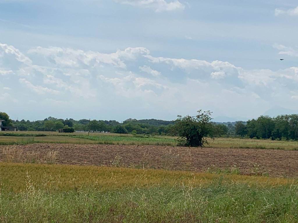 terreno agricolo in vendita a Campolongo Tapogliano