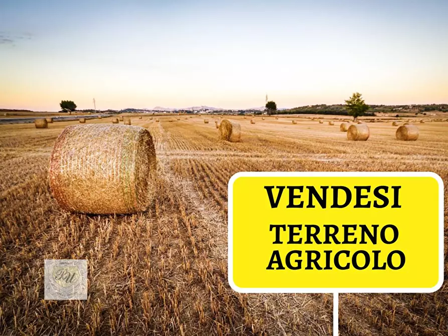 terreno agricolo in vendita a Campolongo Tapogliano