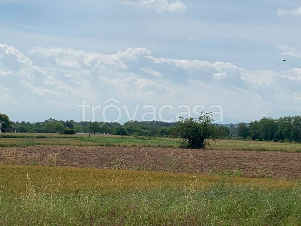 terreno agricolo in vendita a Campolongo Tapogliano