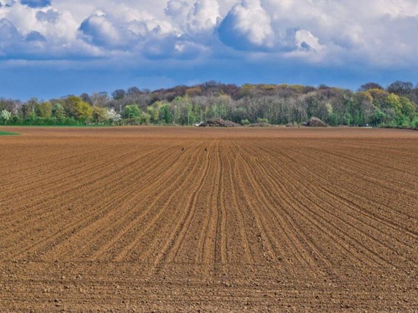 terreno agricolo in vendita a Campolongo Tapogliano