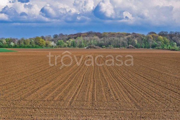 terreno agricolo in vendita a Campolongo Tapogliano