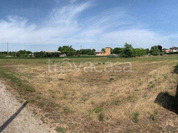 terreno agricolo in vendita a Rivignano Teor