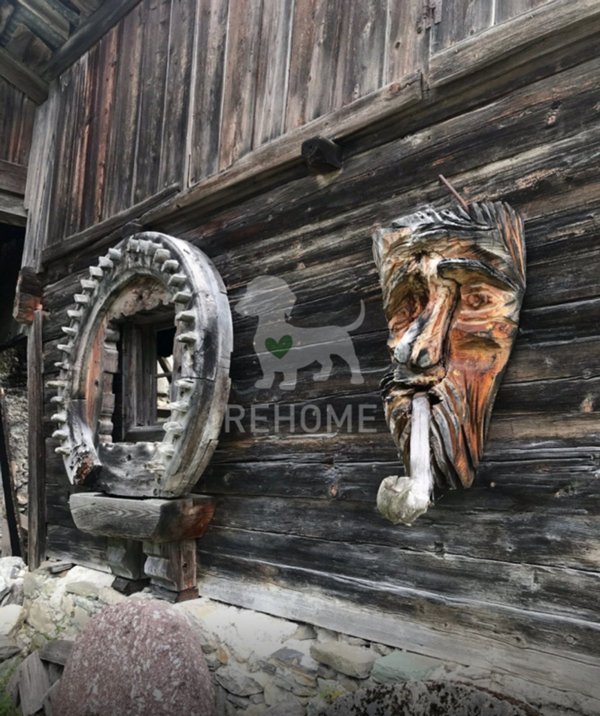 casa indipendente in vendita a Sappada