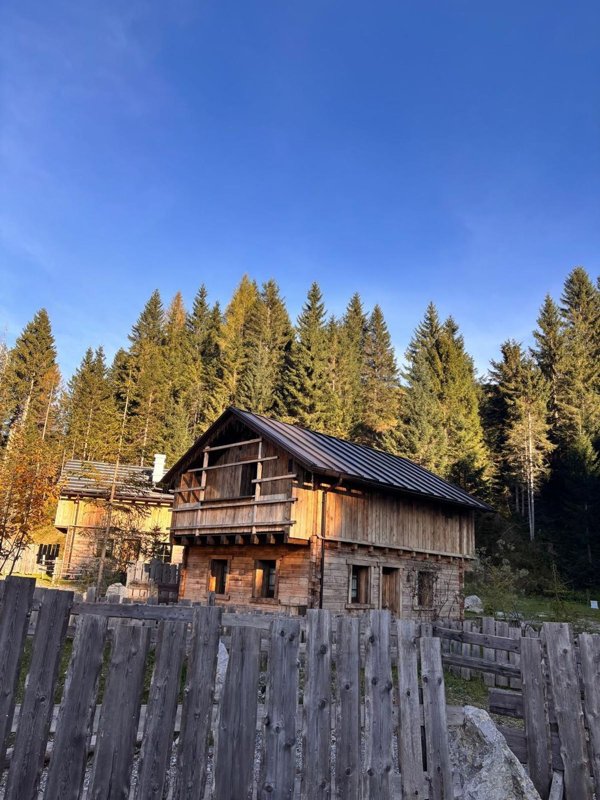 casa indipendente in vendita a Sappada