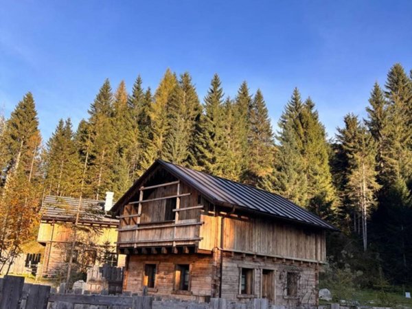 casa indipendente in vendita a Sappada
