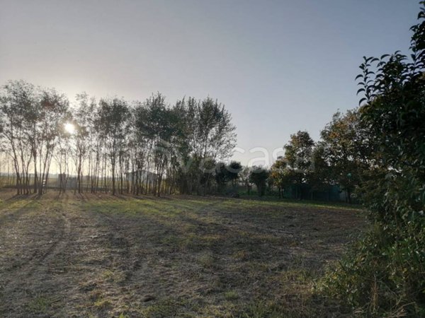 terreno agricolo in vendita a Fiumicello Villa Vicentina