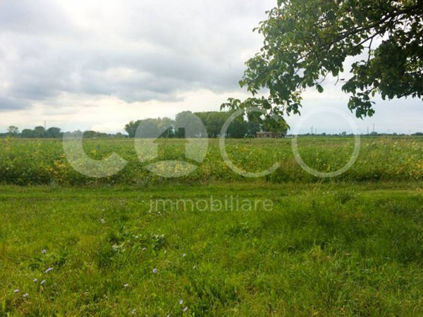 terreno agricolo in vendita a Fiumicello Villa Vicentina in zona San Valentino