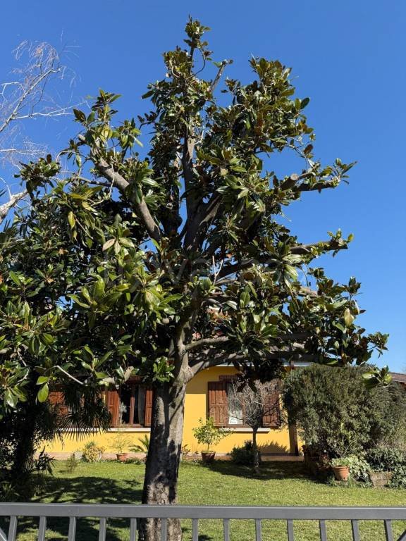 casa indipendente in vendita a Fiumicello Villa Vicentina in zona Fiumicello
