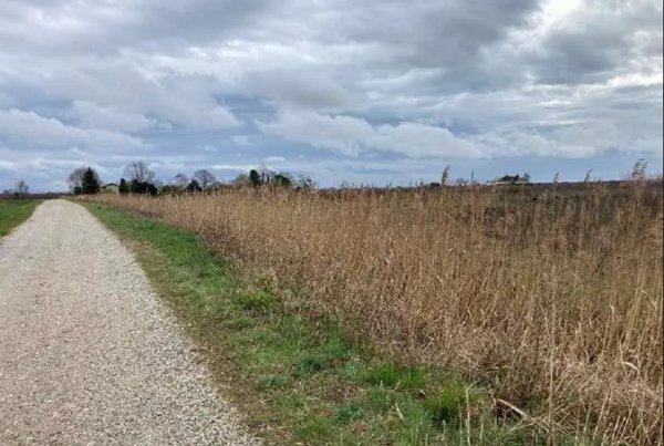 casa indipendente in vendita a Fiumicello Villa Vicentina