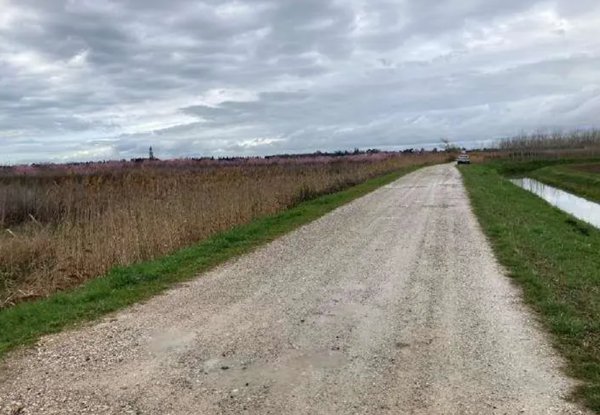 casa indipendente in vendita a Fiumicello Villa Vicentina
