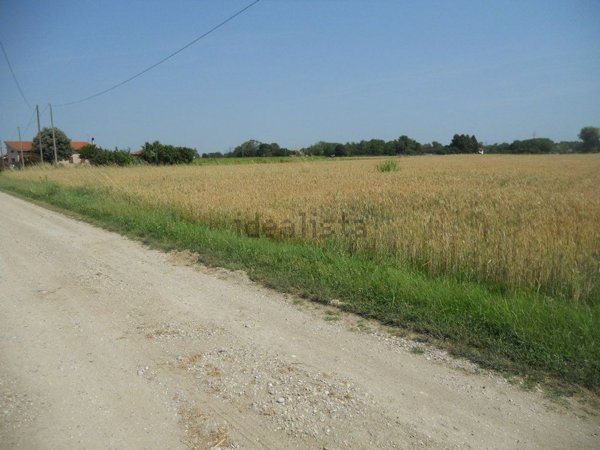 casa indipendente in vendita a Fiumicello Villa Vicentina