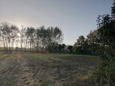 terreno in vendita a Fiumicello Villa Vicentina in zona Fiumicello