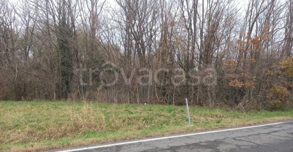 terreno agricolo in vendita a Capriva del Friuli