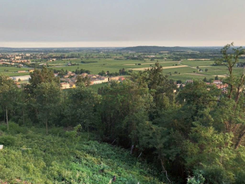 terreno agricolo in vendita a Cormons