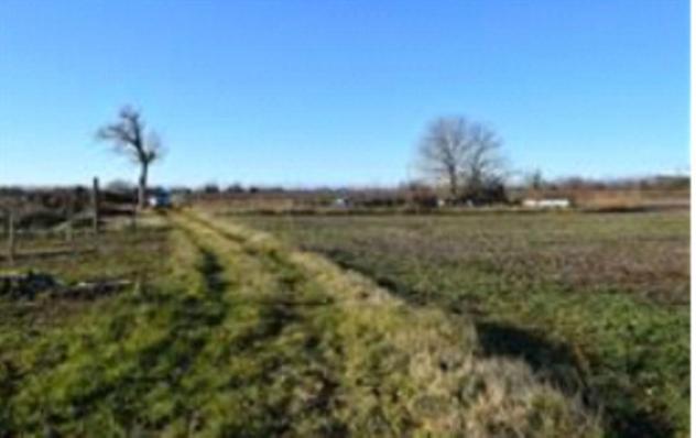 terreno agricolo in vendita a Cormons in zona Brazzano