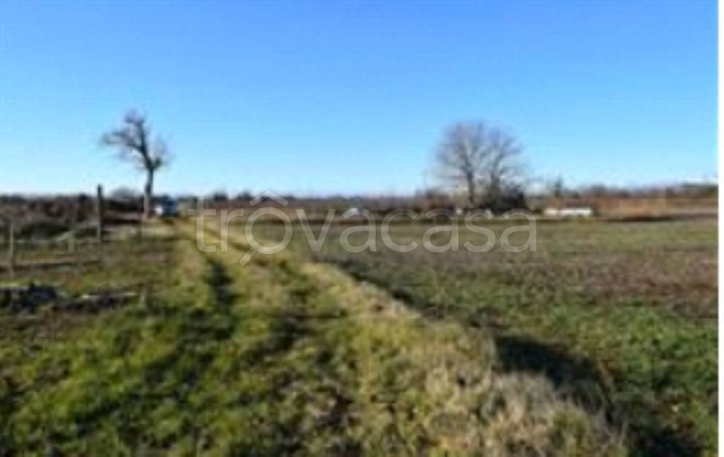 terreno agricolo in vendita a Cormons in zona Brazzano