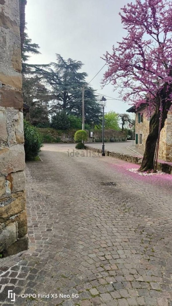 esavano in vendita a Cormons