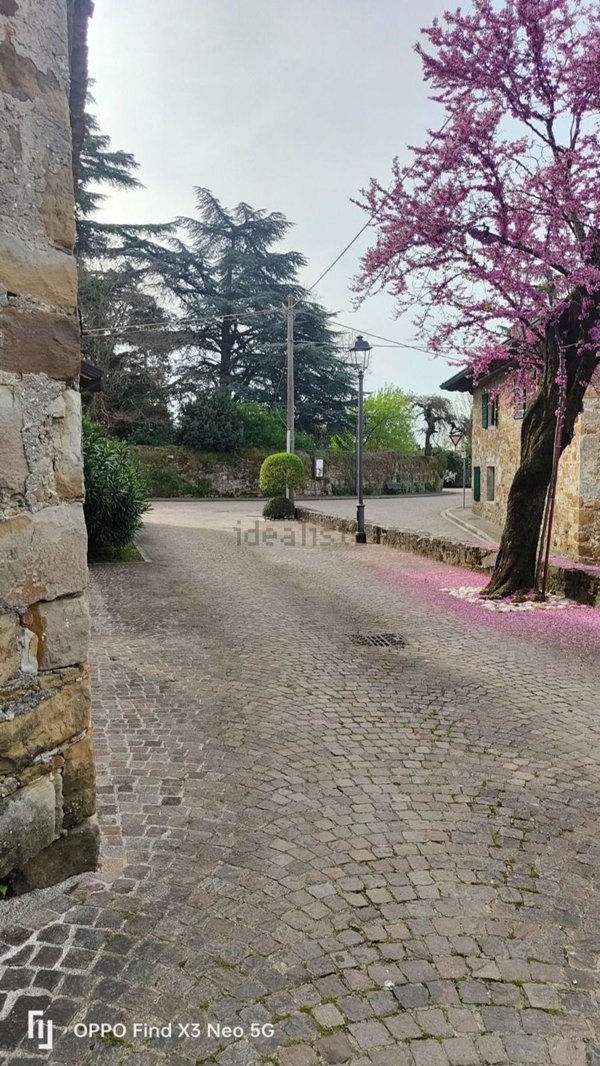 esavano in vendita a Cormons