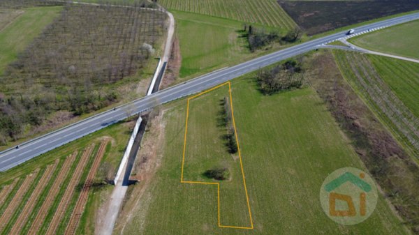 terreno agricolo in vendita a Cormons