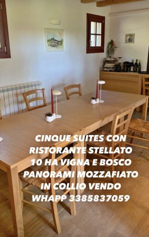 negozio in vendita a Cormons