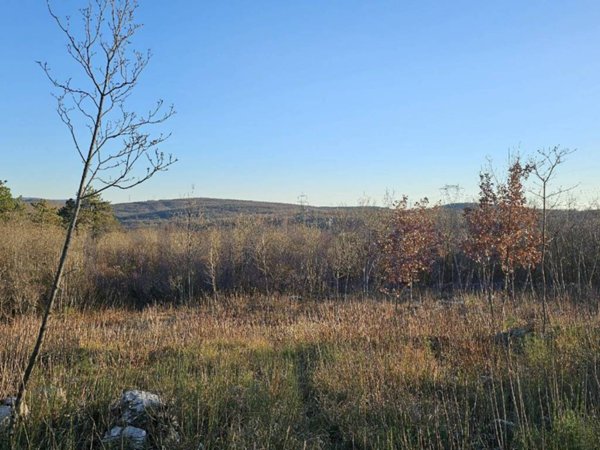 terreno agricolo in vendita a Doberdò del Lago