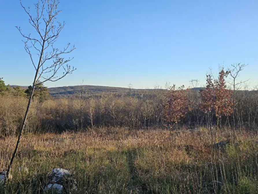 casa indipendente in vendita a Doberdò del Lago