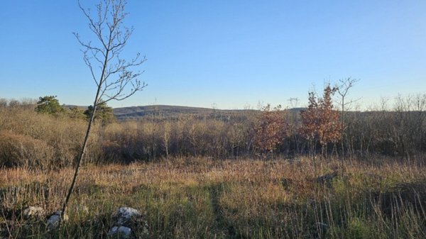 casa indipendente in vendita a Doberdò del Lago