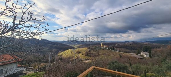 esavano in vendita a Dolegna del Collio