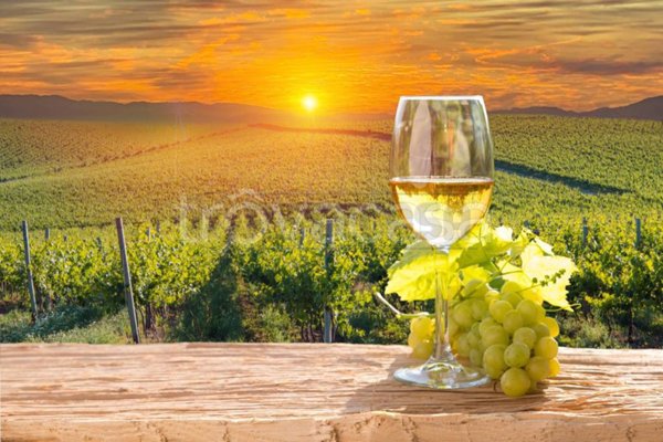 azienda agricola in vendita a Dolegna del Collio